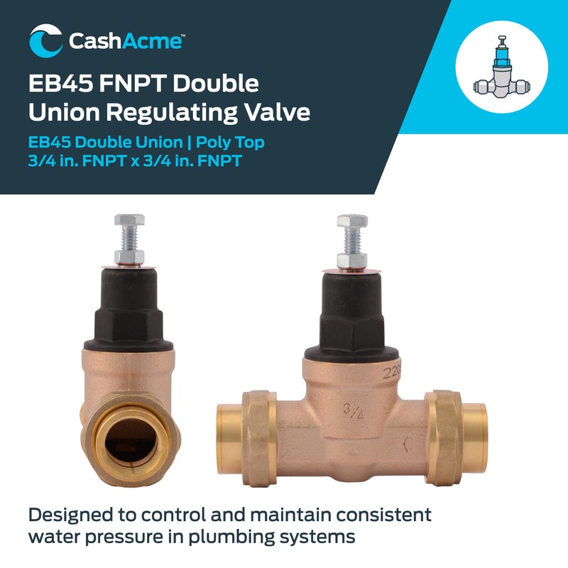 Cash Acme 3/4 Inch EB45 Double Union Pressure Regulating Valve
