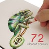 Zenacolor 72 Colouring Pencils with Metal Box 72 Unique Coloured