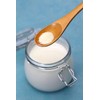 Birch & Meadow 1 Gallon of Yogurt Powder, Nutritious, From