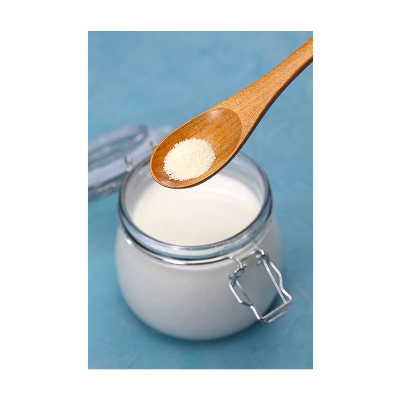 Birch & Meadow 1 Gallon of Yogurt Powder, Nutritious, From