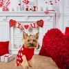 GOYOSWA 2 Pack Valentine Dog Sweater Dog Valentines Clothes Outfit