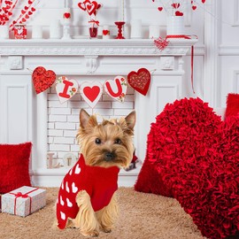GOYOSWA 2 Pack Valentine Dog Sweater Dog Valentines Clothes Outfit Knitted Heart Sweater for Small Medium Large Dogs Pets (Red & Pink, Small)