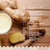 NaturaleBio Ginger Powder Organic 400 g Ginger Shot Powder, 100%
