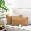 CaliTime Throw Pillow Cases Pack of 2 Cotton Thread Stitching