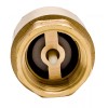 DuraChoice 3/4" Brass In-Line Spring Check Valve - 200WOG