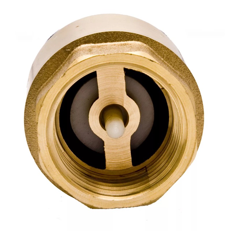 DuraChoice 3/4" Brass In-Line Spring Check Valve - 200WOG