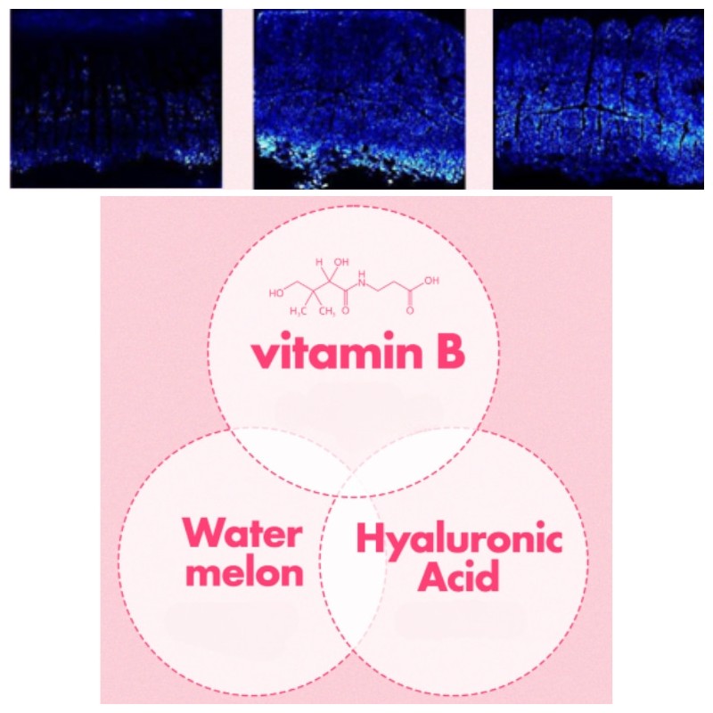 The Face Shop Vitamin A Lip Mask 14g, Shade:Vitamin E