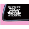 What happens Pontoon Boat TP 845 vinyl 6" Decal Sticker