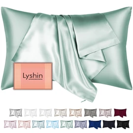 Mulberry Silk Pillow Cases Queen Size with Hidden Zipper, Ultra Smooth and Soft Breathable Cooling Silk Satin Pillowcase for Hair and Skin, Gifts for Women Men (Sage Green, 20x30 Inches, 1 Pack)