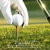 Golf Tees, Long Tees, With Scales, Birch Wood Tees, 2.8
