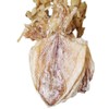 LIFAF Dried Squid Dried Cuttlefish (100g(3.53oz))