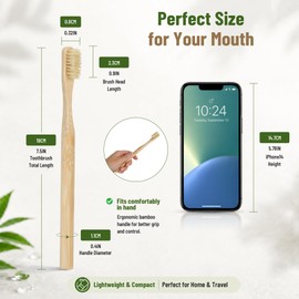 4-Pack Natural Boar Bristle Toothbrush for Adults