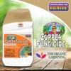 Bonide Captain Jack Copper Fungicide 16 oz Concentrated Plant Disease