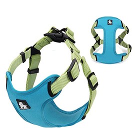 Truelove Pechera cómoda, Arnés Anti tirones, Ergonómico y Seguro para Perros