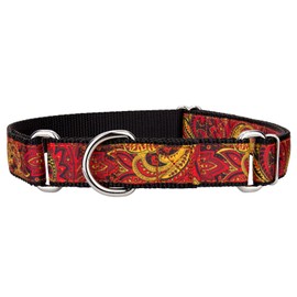 Country Brook Petz - Fire Paisley Ribbon Martingale Collar (3/4 Inch, Medium)