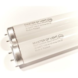 F20T12/WW (2 Pack) 24 Inch 20 Watt Soft Warm White 3000K T12 Fluorescent Tube Light Bulb 20W Replaces F20T12 F20T12KB/ECO/RVL F20T12KB/ECO F20T12/SPX30 F20T12/DSW/RP (2)