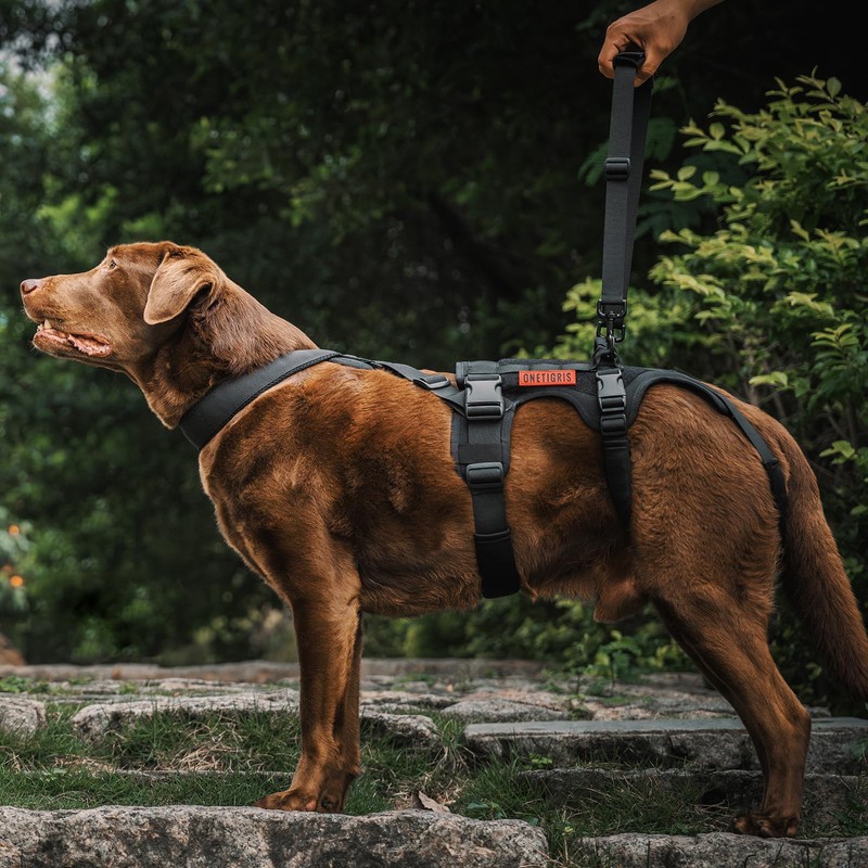 OneTigris Dog Support Harness for Back Legs, Dog Lift Sling