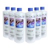 SpaChoice Spa Choice 472-3-4001-06 Reduce pH for Spas and Hot