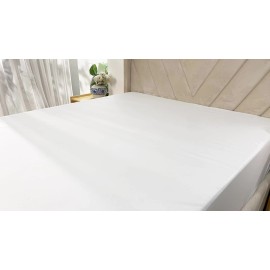 The Elysian Threads Mattress Protector Encasement Bedbug Cover Only Twin Waterproof Hypoallergenic