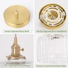 Shenmoyl Battery Operated Pendant Light 5000mAh Rechargeable Chandelier with Remote