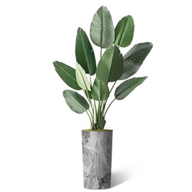 Artificial Tree in Modern Planter, Fake Bird of Paradise Silk Tree for Indoor and Outdoor Home Decoration - 67" Overall Tall (Plant Pot Plus Tree)