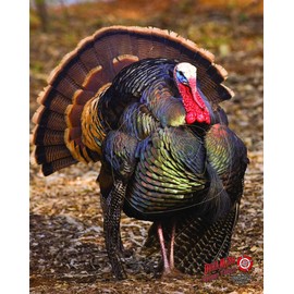 Duramesh Archery Targets Turkey #2, DM218