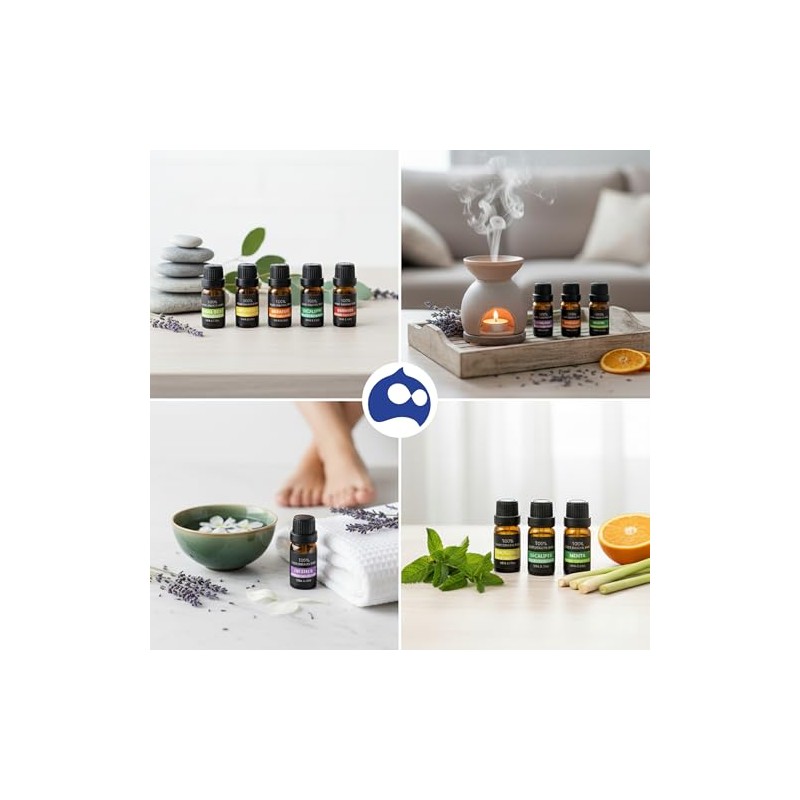 Bluelander Set de 6 Aceites Aromáticos para Difusor, Set de