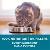 Purina ONE Natural Dry Cat Food, Tender Selects Blend With