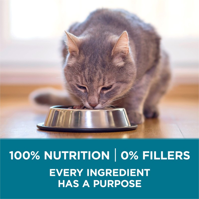 Purina ONE Natural Dry Cat Food, Tender Selects Blend With