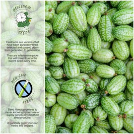 Seed Needs, Cucamelon/Mexican Sour Gherkin Seeds for Planting (Melothria scobra) Heirloom, Non-GMO & Untreated (2 Packs)