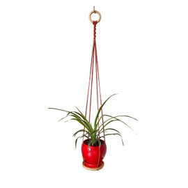ATLanyards Rastafarian Hanging Plant Shelf | Rasta Plant Hanger | Red Green Yellow Floating Plant Shelf | Macrame Plant Holder | Plant Home Decor | 300 (28" Long with Metal Ring)