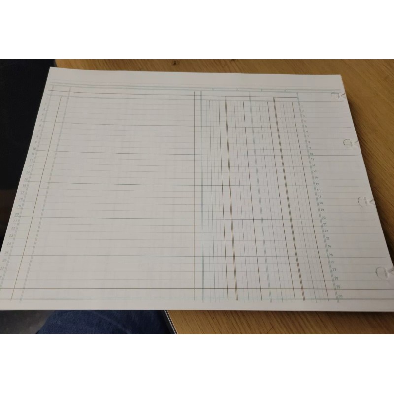 Boorum 100 Sheets Columnar Accounting Sheets 14 Column 9-1/4 x