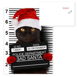 Purrpetrator Santa Cats Holiday Card Assortment Pack / 24 Christmas Cats Greeting Cards and Envelopes / 3 Bad Santa Kitten Designs With Message Inside