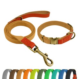 Qianruida Nylon Dog Collar and Leash Set Durable - Adjustable with a Solid Fastening, Comfortable and Durable, Ideal for Walking, Training and Outdoor Safety, Khaki, M