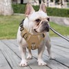 HEELE Dog Harness for Large Dogs, Release at Neck, Front/Back