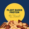 PLANTERS Salted Mixed Nuts, Party Snacks, Plant-Based Protein 10.3oz (1