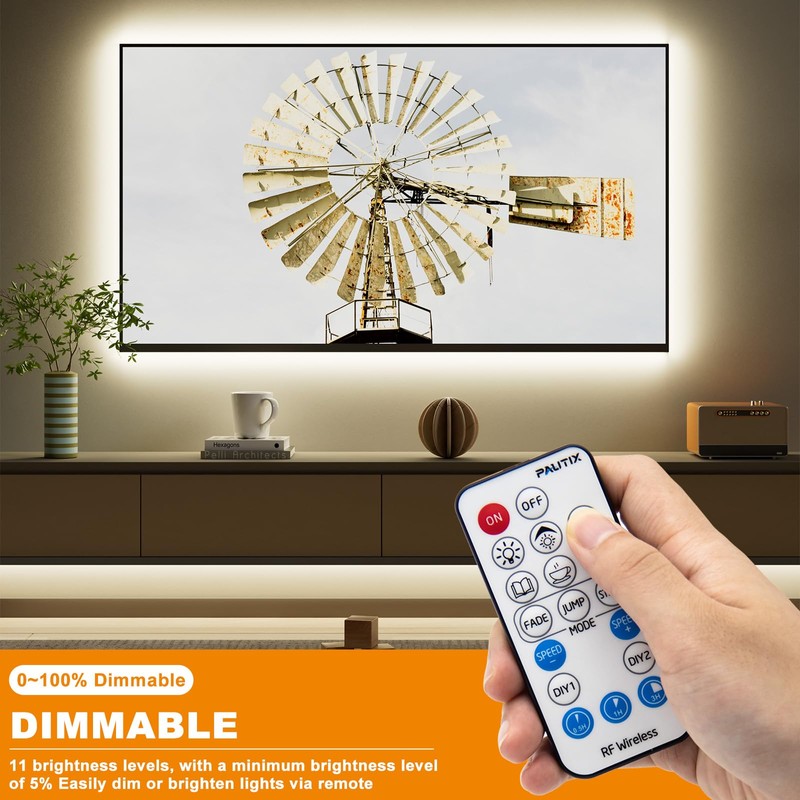 PAUTIX 2-Way LED Dimmer Controller with RF Remote for Single