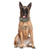 Haoyueer Sharp Spiked Studded Dog Collar 2 Inch Width Stylish