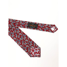 Beams Plus Men's Necktie, Paisley, Print, Hopsack, Silk Tie, red