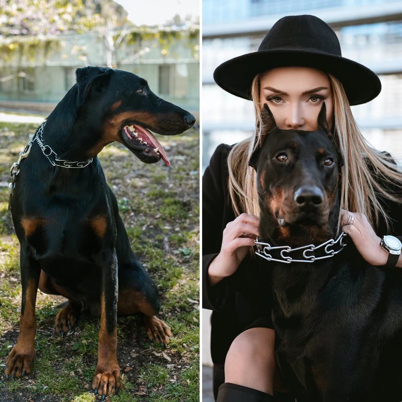 JIPIMON Training Collar Covers - Designed for Herm. Sprenger Collar