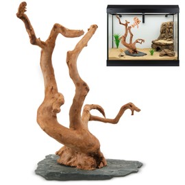 AceOrbit Natural Large Spider Wood Driftwood, 8.5-11.5 Inch Natural Aquarium Driftwood Spiderwood on Slate Stone Aquascaping Wood for Aquarium, Terrarium, Vivarium, Reptile Tank, Fish Tank Decoration