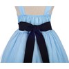 Dressy Daisy Disfraz de Princesa Vestido de Tul Azul Alicia