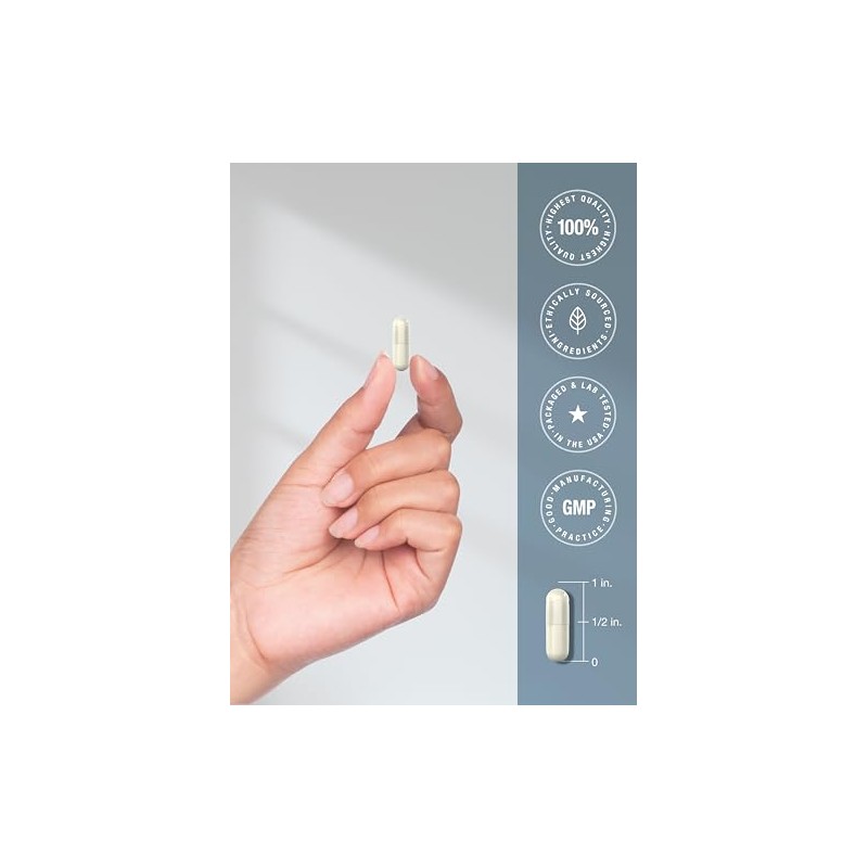 200 Pcs Cinchos de Plastico, Hebillas Universales de Cable |