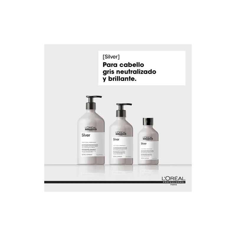 Shampoo Cuidado Canas LOréal Professionnel Silver 500ml