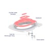 Cat Toilet Training Kit Universal Reusable Environmentally Friendly Cat Toilet