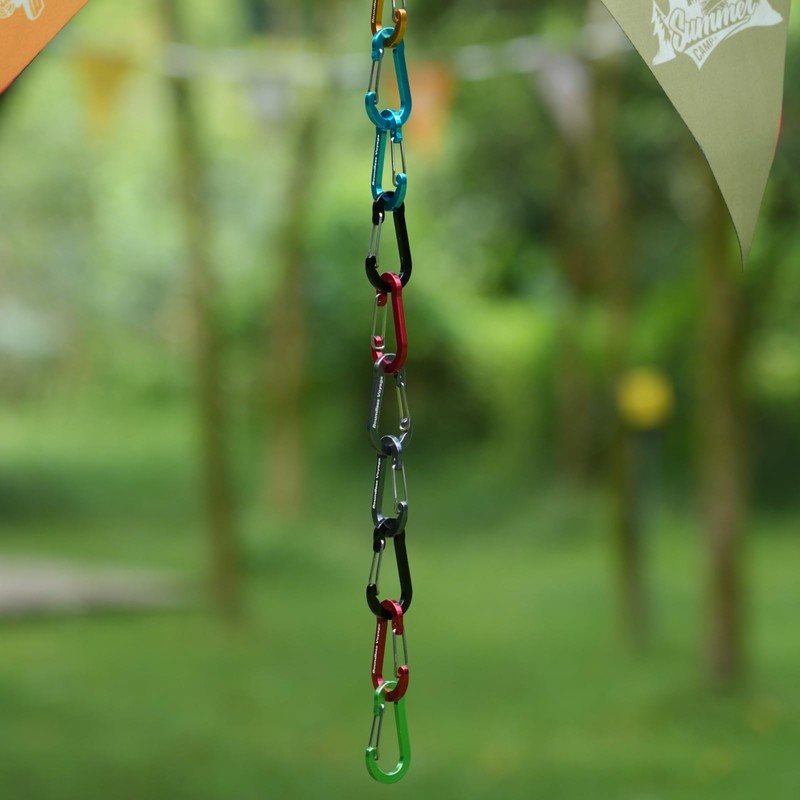 Boundless Voyage Carabiner with Storage Bag, Gray, Set of 20