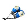 Nicaragua Flag Boxing Gloves – Hanging Rearview Mirror Car Accessories