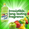 Fabuloso Passion of Fruits Multi-Purpose Cleaner 16.9 Fl Oz (1)