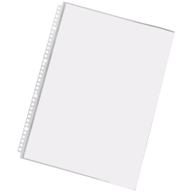 Lihit Lab N2007g Clear Pocket, B4S, 30 Holes, 10 Pieces, Gray