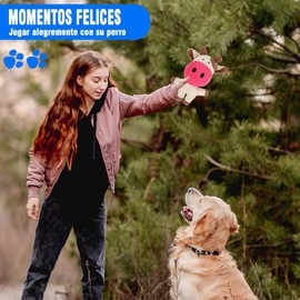 RUISTLI Juguetes para Perro 12 Piezas,Perros Accesorios Interactivo,Juguetes para Perros Ansiosos con Mordedera y Peluches,Juguetes para Perro Grande Cachorros,Cosas para Perros Seguro (12)